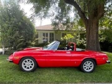 1975 Alfa Romeo Spider Veloce
