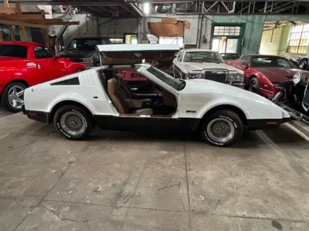 Photo 1 for 1975 Bricklin SV-1
