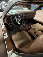 Thumbnail Photo 6 for 1975 Bricklin SV-1
