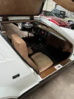 Thumbnail Photo 2 for 1975 Bricklin SV-1