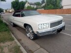 Thumbnail Photo 3 for 1975 Chevrolet Caprice