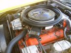 Thumbnail Photo 1 for 1975 Chevrolet Corvette Stingray