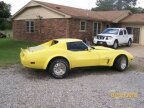 Thumbnail Photo 6 for 1975 Chevrolet Corvette