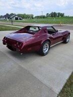 Thumbnail Photo 1 for 1975 Chevrolet Corvette