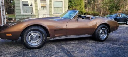 Photo 1 for 1975 Chevrolet Corvette Stingray