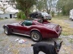 Thumbnail Photo 6 for 1975 Chevrolet Corvette Stingray