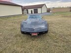 Thumbnail Photo 1 for 1975 Chevrolet Corvette
