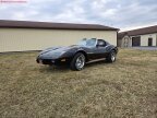 Thumbnail Photo 5 for 1975 Chevrolet Corvette
