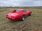 Thumbnail Photo 4 for 1975 Chevrolet Corvette