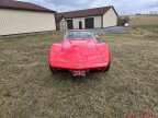 Thumbnail Photo 1 for 1975 Chevrolet Corvette