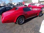 Thumbnail Photo 4 for 1975 Chevrolet Corvette Coupe