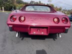 Thumbnail Photo 4 for 1975 Chevrolet Corvette