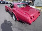Thumbnail Photo 2 for 1975 Chevrolet Corvette