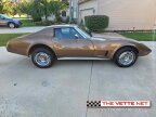 Thumbnail Photo 2 for 1975 Chevrolet Corvette Coupe