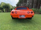 Thumbnail Photo 3 for 1975 Chevrolet Corvette Stingray