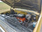 Thumbnail Photo 2 for 1975 Chevrolet Suburban