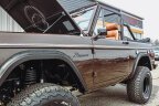 Thumbnail Photo 1 for 1975 Ford Bronco