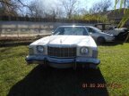 Thumbnail Photo 6 for 1975 Ford Elite