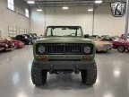 Thumbnail Photo 2 for 1975 International Harvester Scout