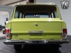 Thumbnail Photo 6 for 1975 Jeep Wagoneer