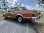 Thumbnail Photo 6 for 1975 Mercury Monarch