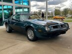 Thumbnail Photo 3 for 1975 Pontiac Firebird Trans Am