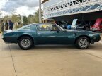 Thumbnail Photo 4 for 1975 Pontiac Firebird Trans Am