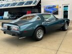 Thumbnail Photo 5 for 1975 Pontiac Firebird Trans Am