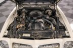 Thumbnail Photo 3 for 1975 Pontiac Firebird Formula