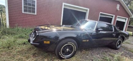 Photo 1 for 1975 Pontiac Firebird Trans Am