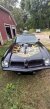 Thumbnail Photo 2 for 1975 Pontiac Firebird Trans Am