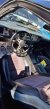 Thumbnail Photo 5 for 1975 Pontiac Firebird Trans Am