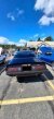 Thumbnail Photo 1 for 1975 Pontiac Firebird Trans Am