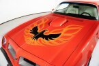 Thumbnail Photo 6 for 1975 Pontiac Firebird