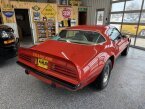 Thumbnail Photo 2 for 1975 Pontiac Firebird Trans Am