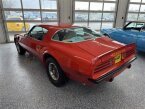 Thumbnail Photo 3 for 1975 Pontiac Firebird Trans Am