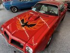 Thumbnail Photo 6 for 1975 Pontiac Firebird Trans Am
