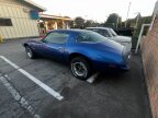 Thumbnail Photo 3 for 1975 Pontiac Firebird