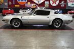 Thumbnail Photo 3 for 1975 Pontiac Firebird