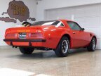 Thumbnail Photo 4 for 1975 Pontiac Firebird