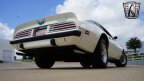 Thumbnail Photo 4 for 1975 Pontiac Firebird