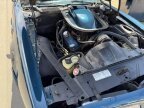 Thumbnail Photo 5 for 1975 Pontiac Firebird