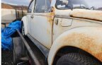Thumbnail Photo 1 for 1975 Volkswagen Beetle