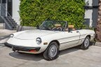 Thumbnail Photo 6 for 1976 Alfa Romeo 2000