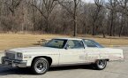 Thumbnail Photo 6 for 1976 Buick Electra
