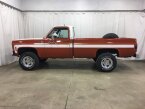 Thumbnail Photo 1 for 1976 Chevrolet C/K Truck Scottsdale