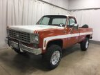 Thumbnail Photo 6 for 1976 Chevrolet C/K Truck Scottsdale