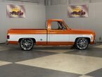 Thumbnail Photo 3 for 1976 Chevrolet C/K Truck