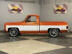 Thumbnail Photo 1 for 1976 Chevrolet C/K Truck