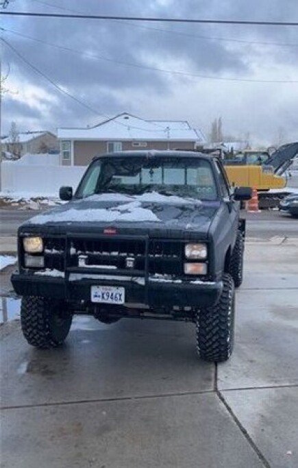 Photo 1 for 1976 Chevrolet C/K Truck